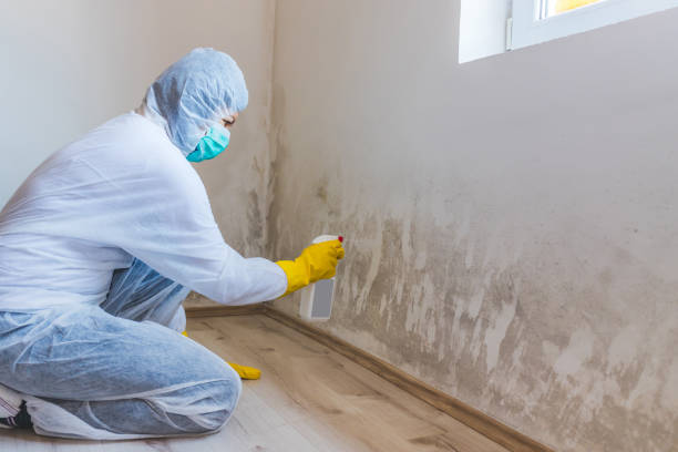 Mold inspector in Raritan performing thermal imaging